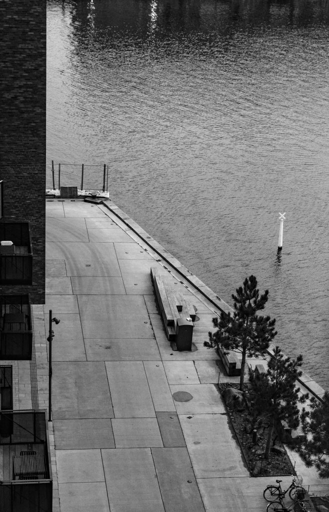 Waterfront Promenade from Above, Copenhagen Waterfront promenade with young trees seen from above, Copenhagen, black and white