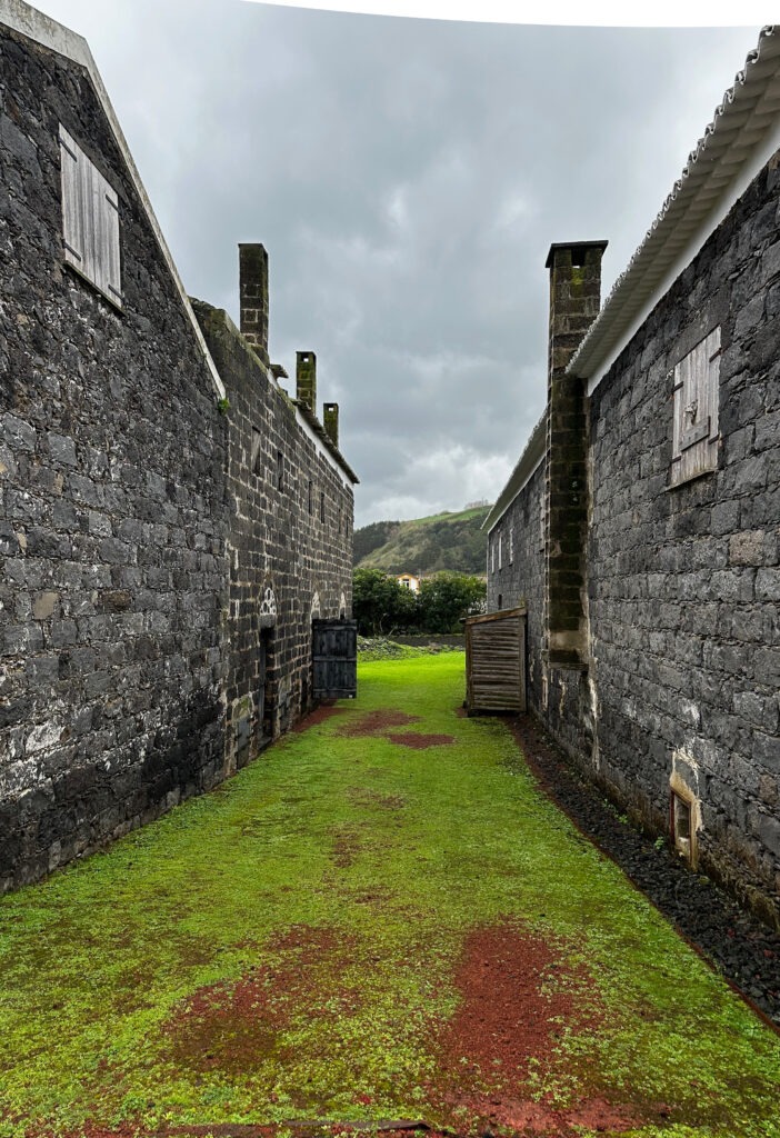 Grassy lane between old stone buildings in an Azores village