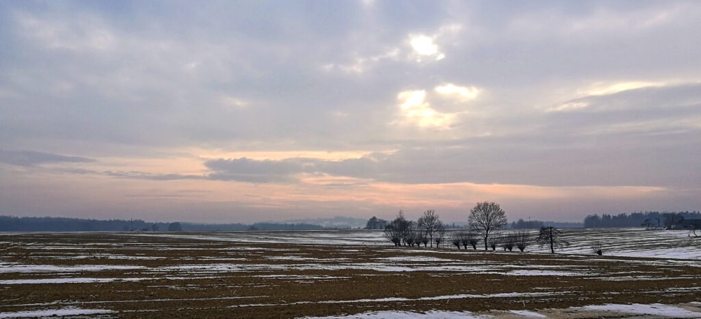 winter field with trees on the horizon under soft cloudy sky &ndash; minimalist fine art landscape
